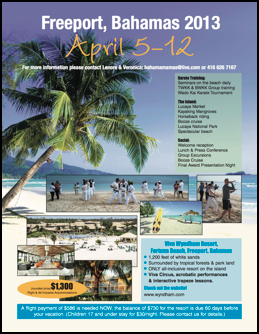 Promo flyer 2_Layout 1